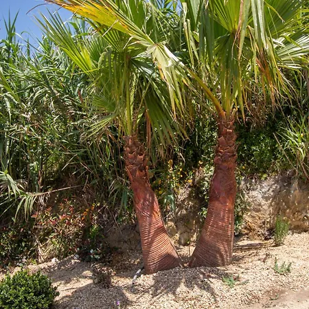 Barthelemy, Ericeira Luxury Вилла