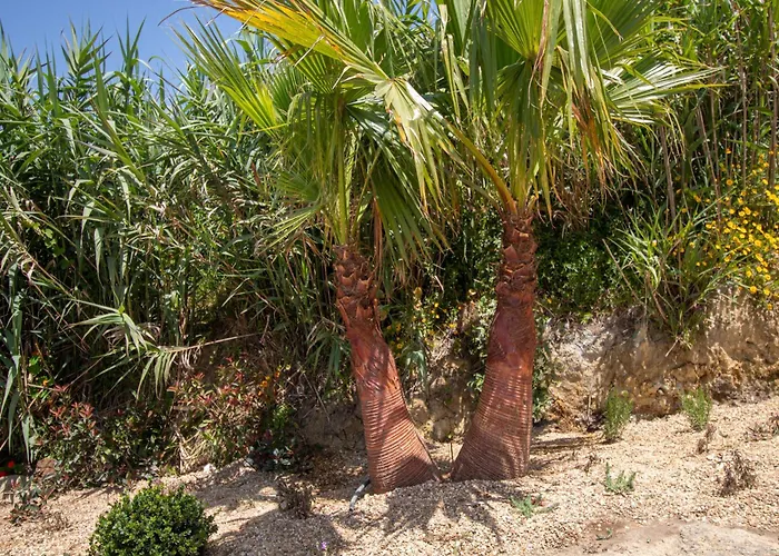 Barthelemy, Ericeira Luxury וילה